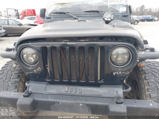 2003 JEEP WRANGLER 1J4FA39S33P375741 Photo 9