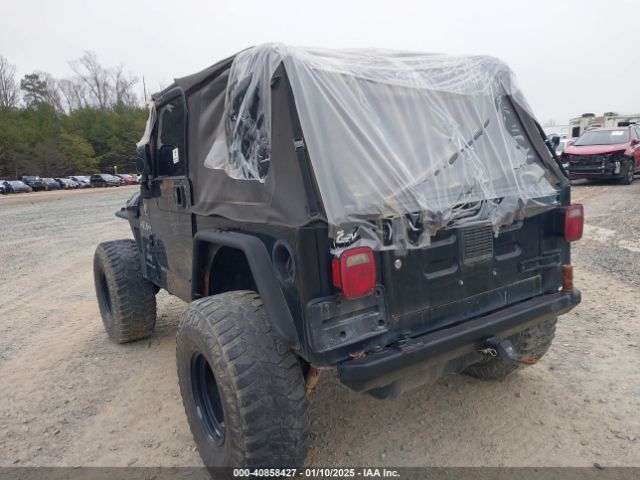 2003 JEEP WRANGLER 1J4FA39S33P375741 Photo 2