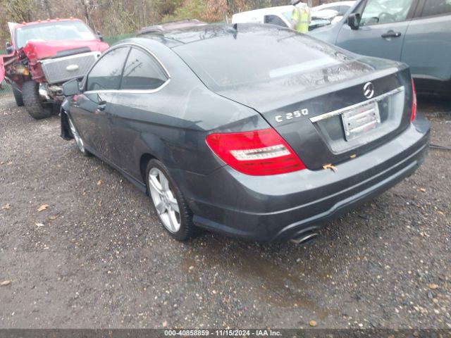 WDDGJ4HB3FG417305 Mercedes-Benz C 250