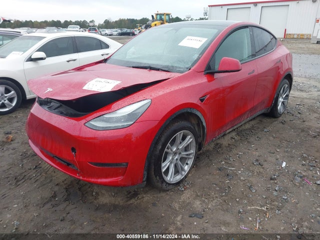 2023 TESLA MODEL Y 7SAYGDEEXPF685584 Photo 1