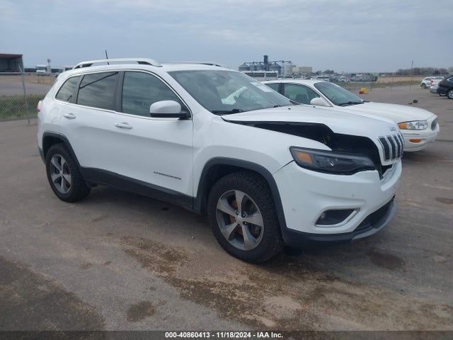 Jeep Cherokee Limited 4x4 2019 1C4PJMDN3KD178750 Image 1