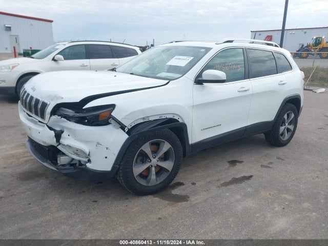 Jeep Cherokee Limited 4x4 2019 1C4PJMDN3KD178750 Image 2