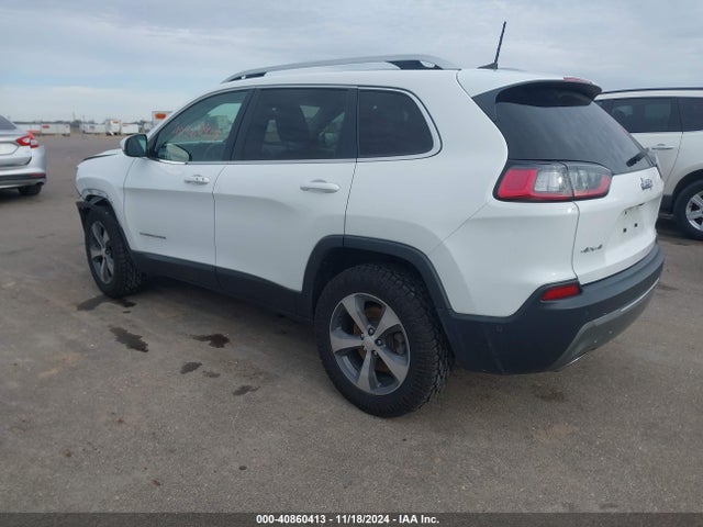 Jeep Cherokee Limited 4x4 2019 1C4PJMDN3KD178750 Image 3