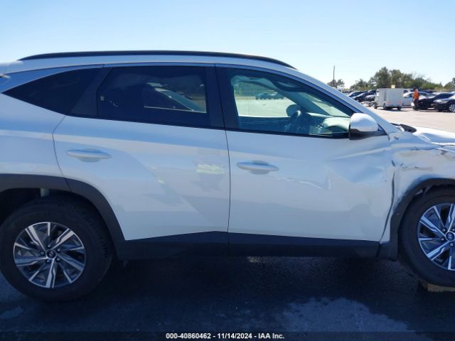 KM8JBCD17RU213273 Hyundai Tucson Hybrid Blue