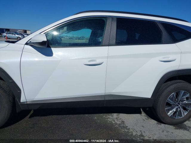 KM8JBCD17RU213273 Hyundai Tucson Hybrid Blue