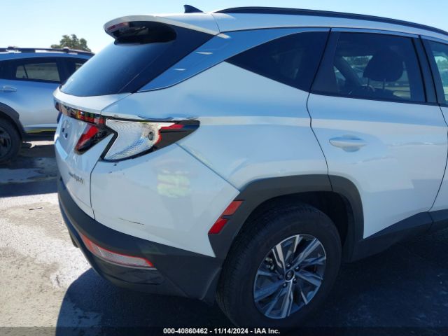 KM8JBCD17RU213273 Hyundai Tucson Hybrid Blue