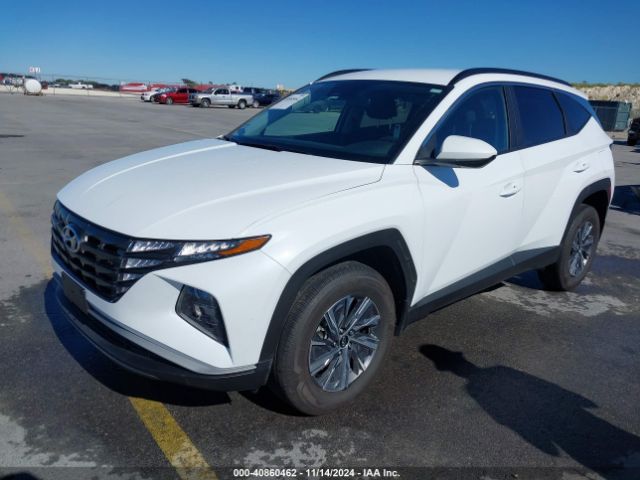 KM8JBCD17RU213273 Hyundai Tucson Hybrid Blue