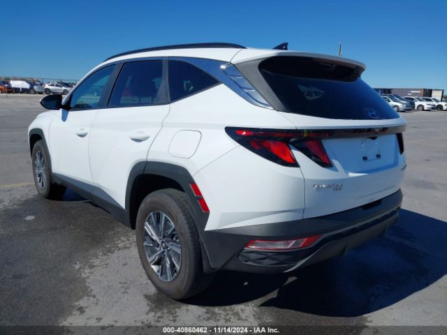 KM8JBCD17RU213273 Hyundai Tucson Hybrid Blue