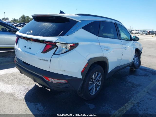 KM8JBCD17RU213273 Hyundai Tucson Hybrid Blue