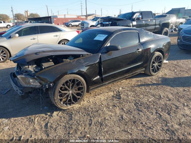 1ZVBP8AMXE5327727 Ford Mustang V6