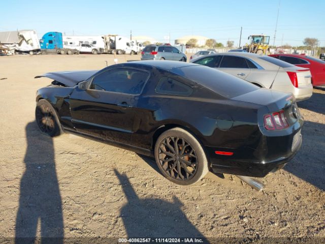 1ZVBP8AMXE5327727 Ford Mustang V6