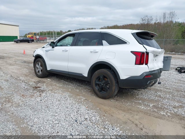 KIA SORENTO LX 2023 5XYRGDLC9PG183029 Image 3