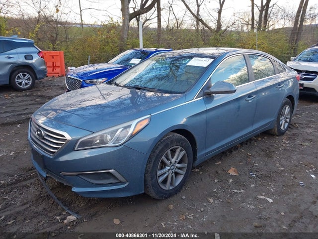 5NPE24AF2GH263565 Hyundai SONATA SE
