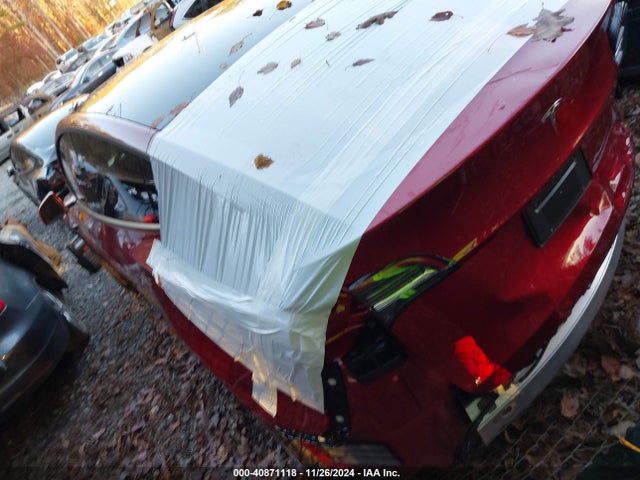 2024 TESLA MODEL Y 7SAYGDEDXRA308969 Photo 2
