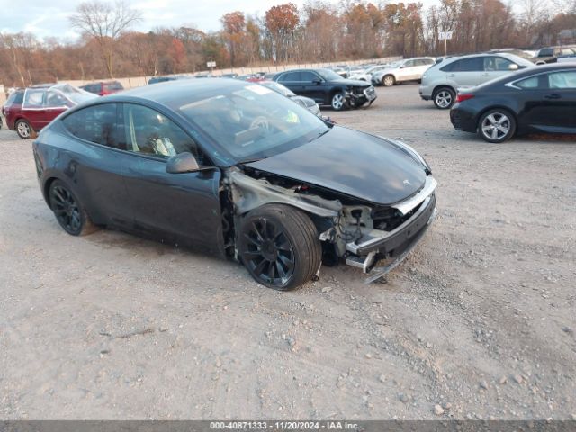 2024 TESLA MODEL Y 7SAYGDED3RF160506