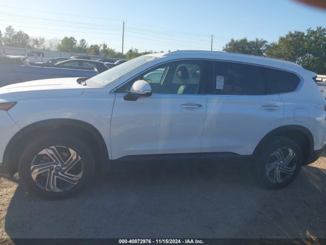 5NMS2DAJ5PH488583 Hyundai Santa Fe Sel