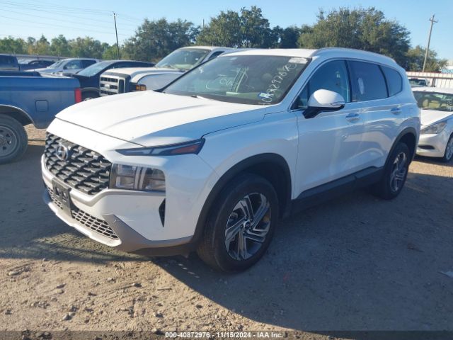 5NMS2DAJ5PH488583 Hyundai Santa Fe Sel