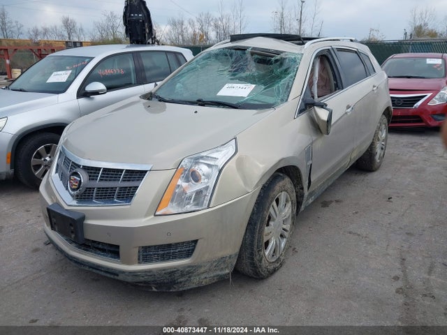 2011 CADILLAC SRX 3GYFNDEY5BS584919 Photo 1