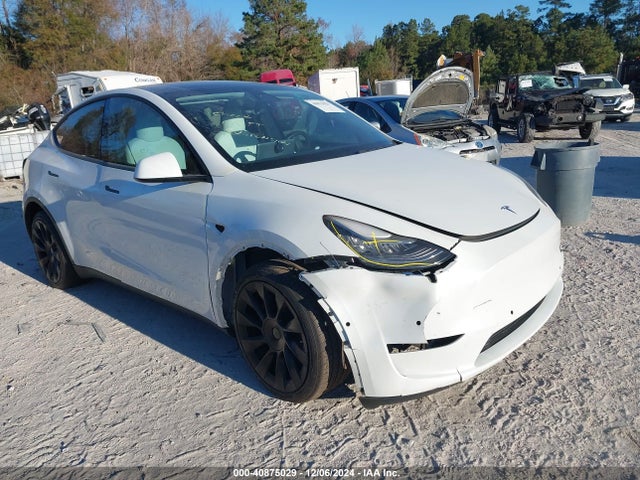 2021 TESLA MODEL Y 5YJYGDEE1MF061276 Photo 0