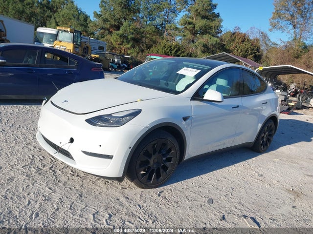 2021 TESLA MODEL Y 5YJYGDEE1MF061276 Photo 1
