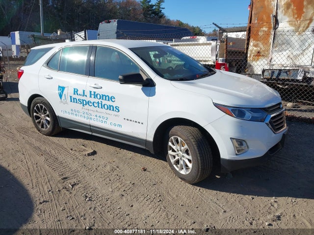 Chevrolet EQUINOX LS 2019 2GNAXSEV8K6194519 Image 1