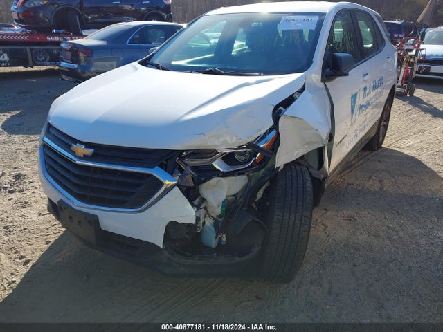 Chevrolet EQUINOX LS 2019 2GNAXSEV8K6194519 Image 6
