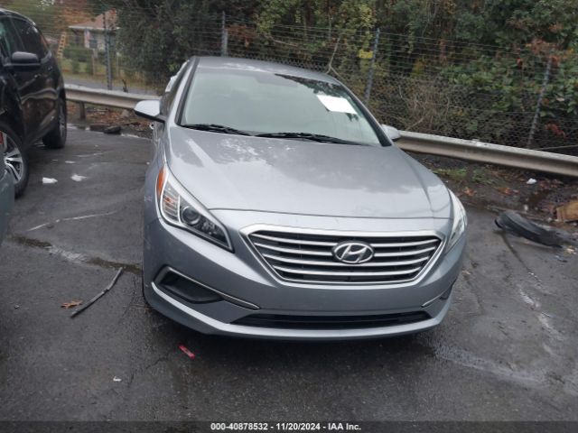 5NPE24AA0HH538632 Hyundai SONATA ECO