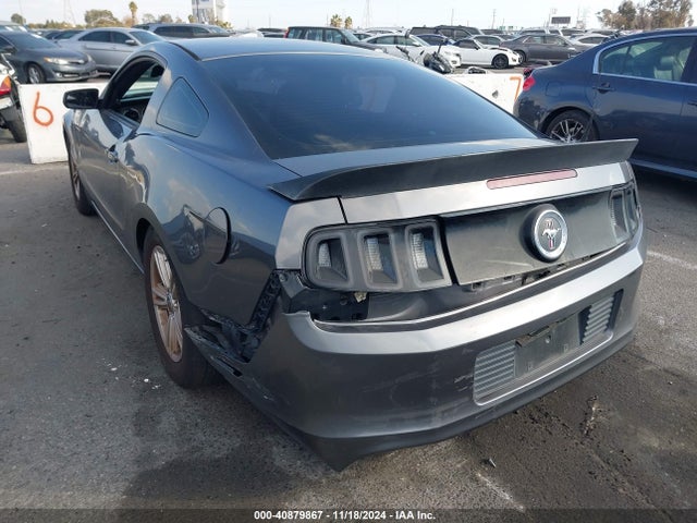 1ZVBP8AM6E5250287 Ford Mustang V6