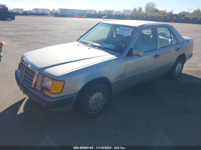 1992 MERCEDES-BENZ 300 WDBED30E3NB602702 Photo 1