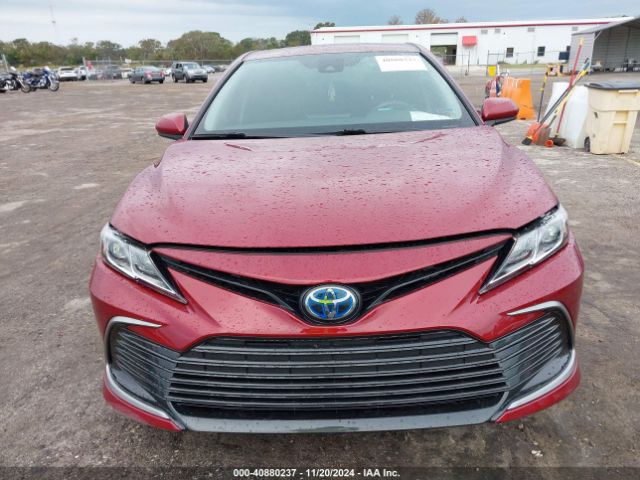 4T1C31AK7MU566368 Toyota Camry Le Hybrid