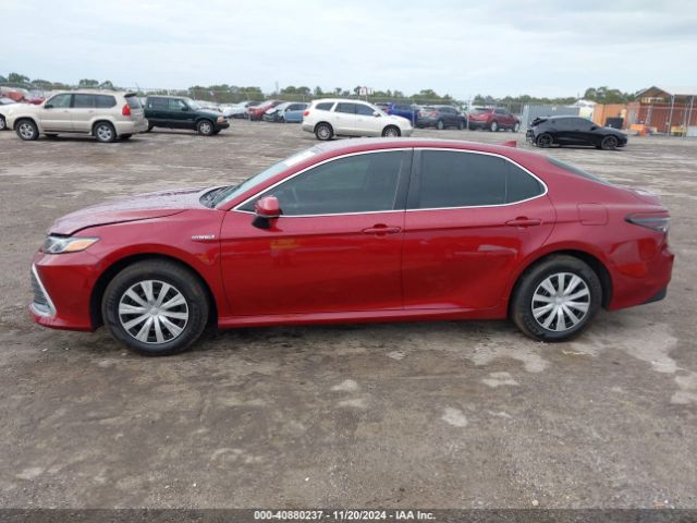 4T1C31AK7MU566368 Toyota Camry Le Hybrid