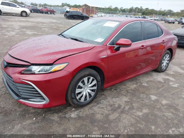 4T1C31AK7MU566368 Toyota Camry Le Hybrid