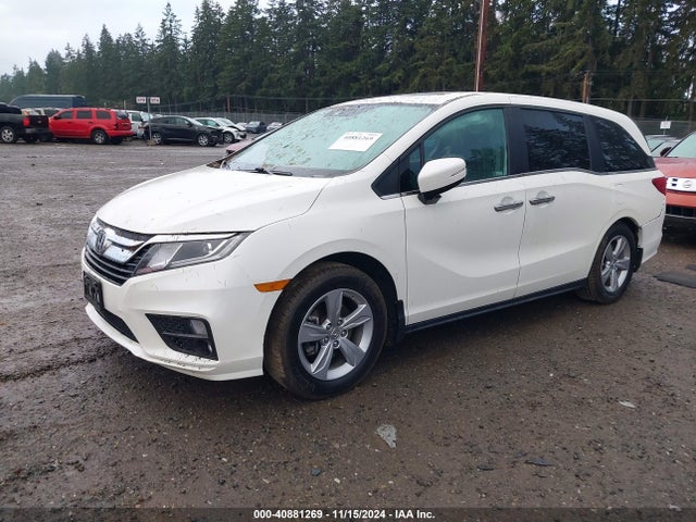 Honda Odyssey Ex-l 2019 5FNRL6H75KB057625 Image 2