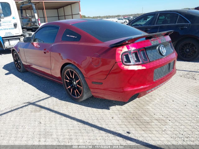 Ford Mustang V6 2014 1ZVBP8AM0E5329499 Image 3