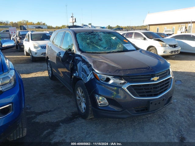 Chevrolet EQUINOX LS 2019 3GNAXHEV2KS516897 Image 1