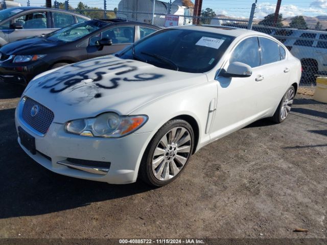 2009 JAGUAR XF SAJWA06B19HR07212 Photo 1