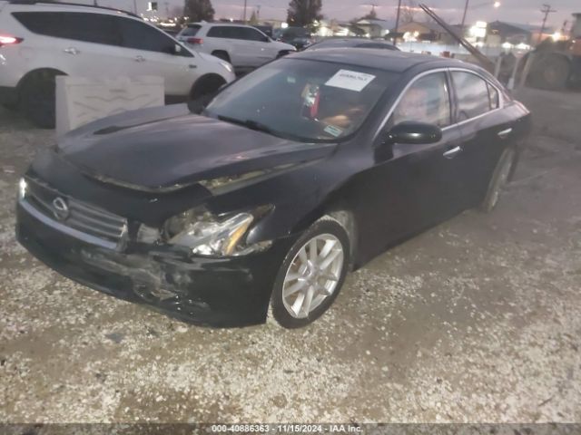 1N4AA5AP7EC459242 Nissan Maxima 3.5 S/3.5 Sv