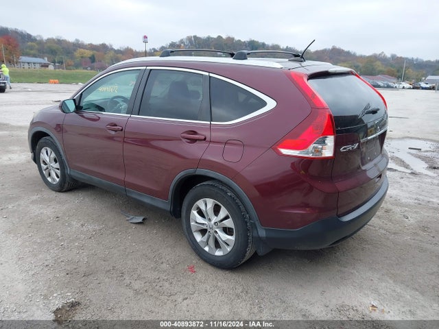 Honda Cr-v Ex-l 2014 5J6RM4H76EL059493 Image 3