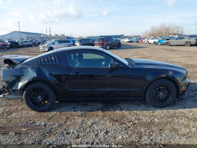1ZVBP8AM4E5249607 Ford Mustang V6