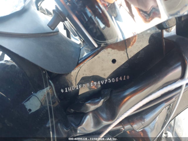 2004 HARLEY-DAVIDSON FLHRI 1HD1FBW194Y730641 Photo 9