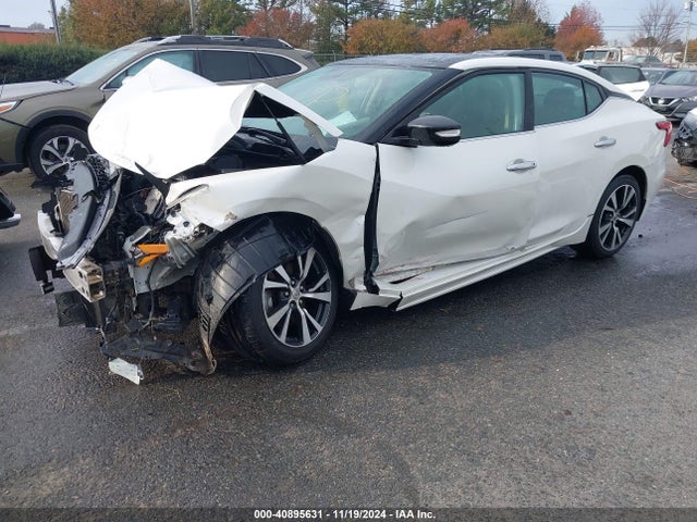 Nissan Maxima 3.5 Sl 2016 1N4AA6APXGC403997 Image 2