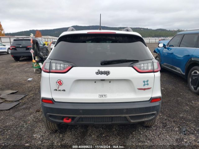 1C4PJMBX6LD504174 Jeep Cherokee Trailhawk 4x4
