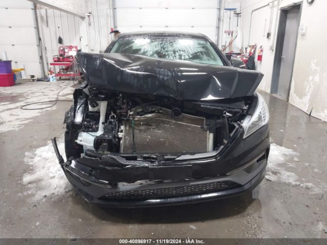 5NPE34AF8GH361545 Hyundai Sonata Sport