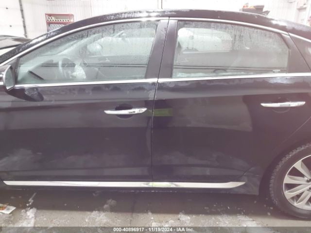 5NPE34AF8GH361545 Hyundai Sonata Sport