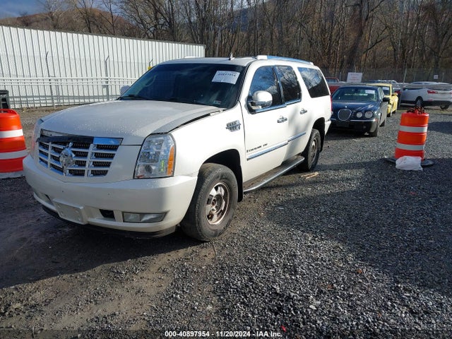2007 CADILLAC ESCALADE ESV 1GYFK66807R301579 Photo 1