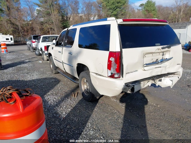 2007 CADILLAC ESCALADE ESV 1GYFK66807R301579 Photo 2