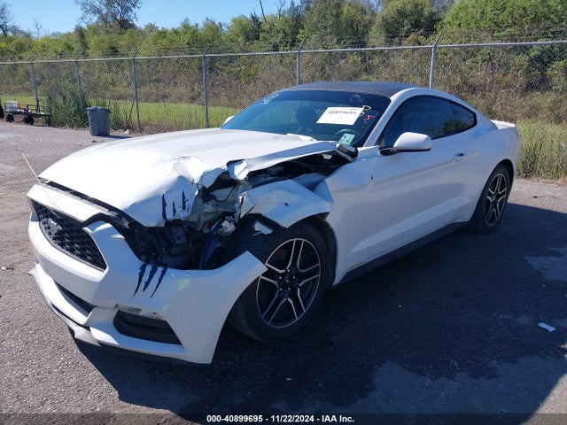 Ford Mustang V6 2017 1FA6P8AM5H5319548 Image 2