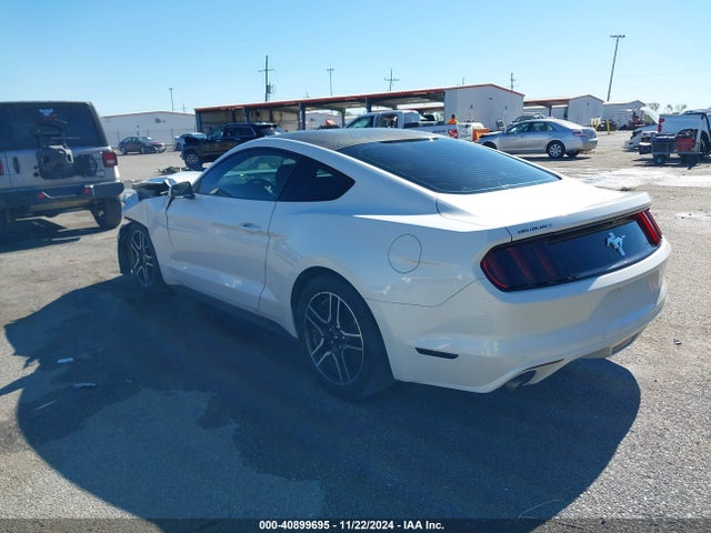 Ford Mustang V6 2017 1FA6P8AM5H5319548 Image 3