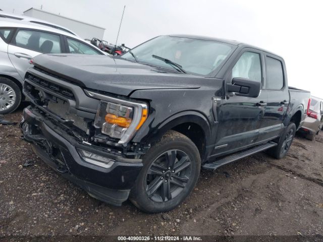 1FTFW1ED1PFC74602 Ford F-150 Xlt