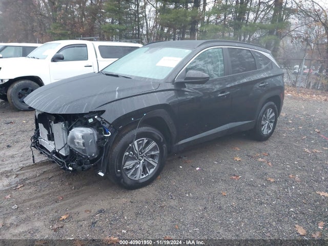 KM8JBCD1XRU210478 Hyundai Tucson Hybrid Blue